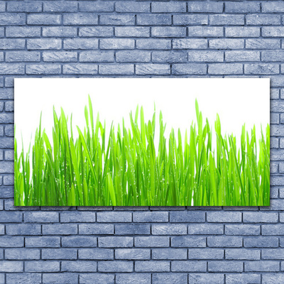 Canvas Wall art Grass nature green