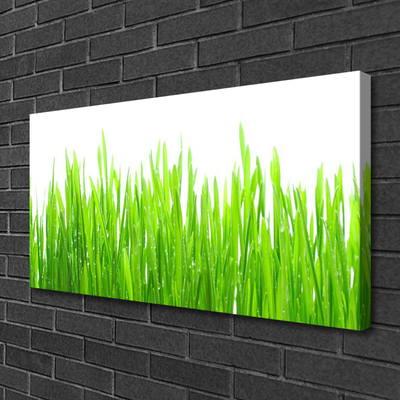 Canvas Wall art Grass nature green