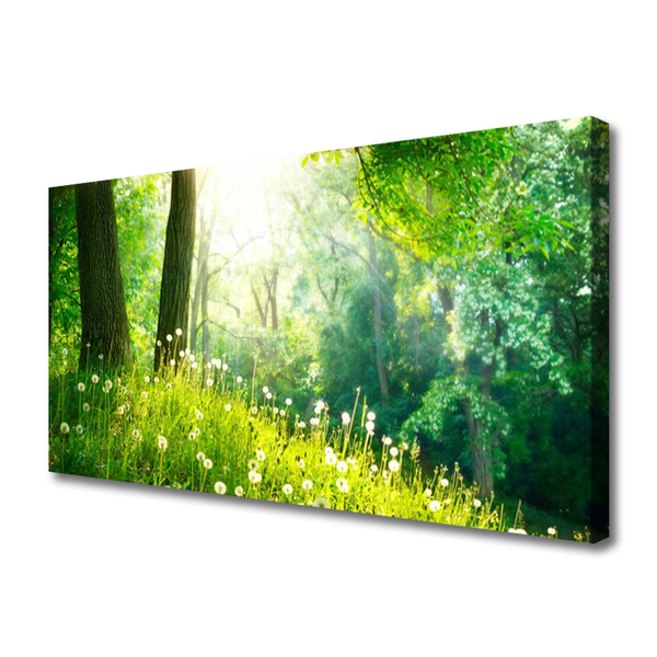 Canvas Wall art Meadow nature green