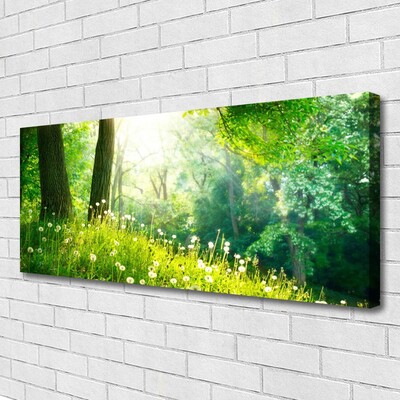 Canvas Wall art Meadow nature green