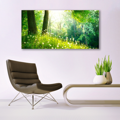 Canvas Wall art Meadow nature green