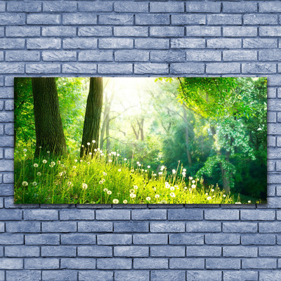 Canvas Wall art Meadow nature green