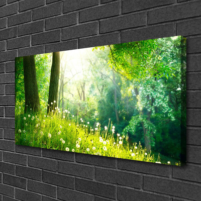 Canvas Wall art Meadow nature green