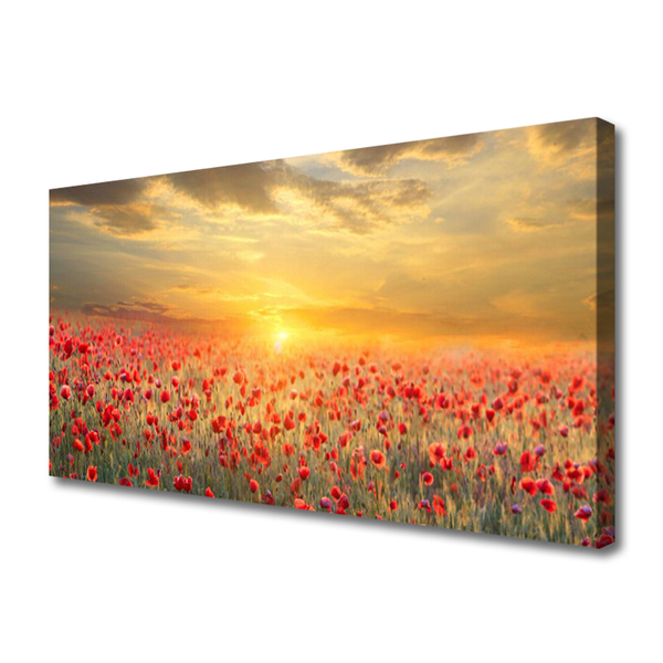 Canvas Wall art Sun meadow poppy flowers nature yellow red green