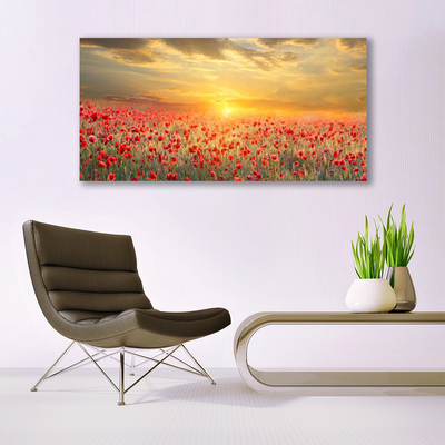 Canvas Wall art Sun meadow poppy flowers nature yellow red green