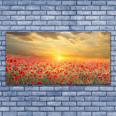 Canvas Wall art Sun meadow poppy flowers nature yellow red green