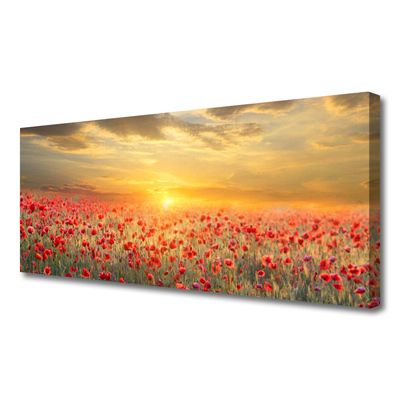 Canvas Wall art Sun meadow poppy flowers nature yellow red green