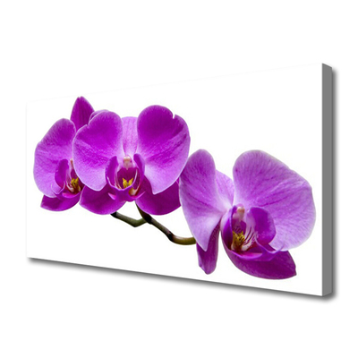 Canvas Wall art Flowers floral pink