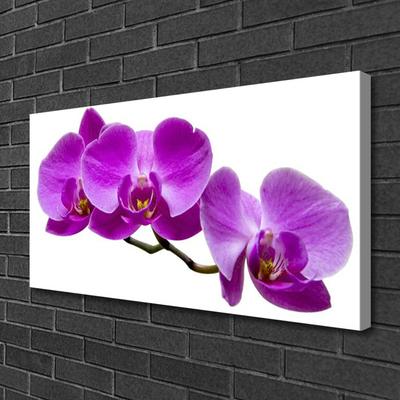 Canvas Wall art Flowers floral pink