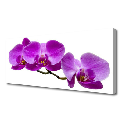 Canvas Wall art Flowers floral pink