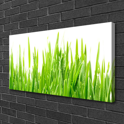 Canvas Wall art Grass nature green