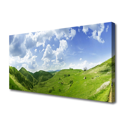 Canvas Wall art Mountain meadow nature green