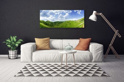 Canvas Wall art Mountain meadow nature green