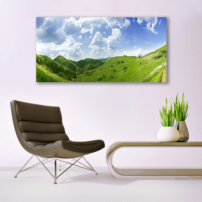 Canvas Wall art Mountain meadow nature green