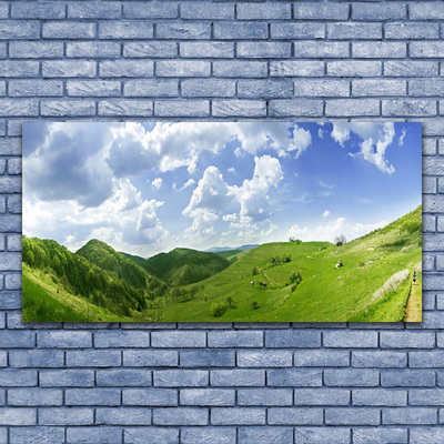 Canvas Wall art Mountain meadow nature green