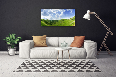 Canvas Wall art Mountain meadow nature green