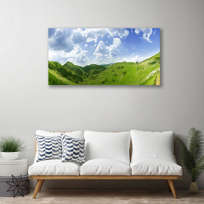 Canvas Wall art Mountain meadow nature green