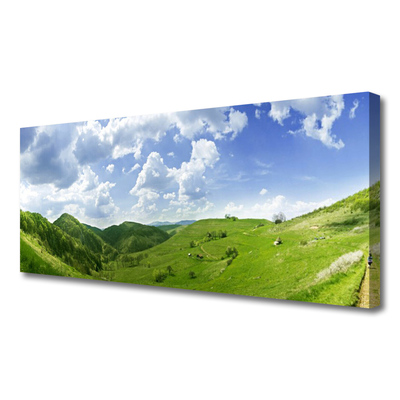 Canvas Wall art Mountain meadow nature green