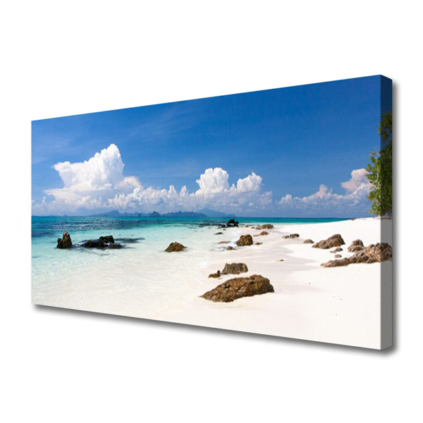 Canvas Wall art Beach stones landscape white grey