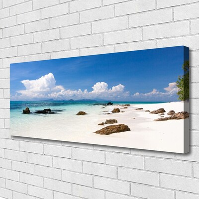 Canvas Wall art Beach stones landscape white grey