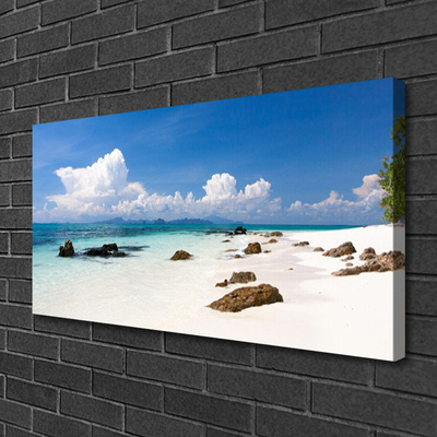 Canvas Wall art Beach stones landscape white grey