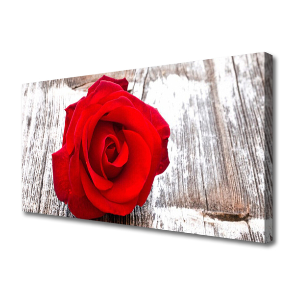 Canvas Wall art Rose floral red