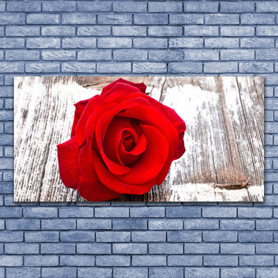 Canvas Wall art Rose floral red