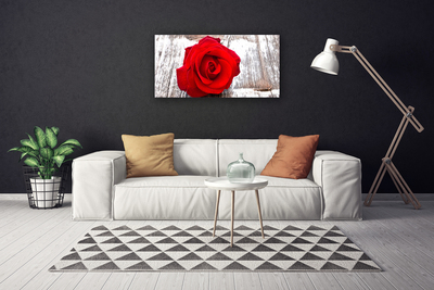 Canvas Wall art Rose floral red