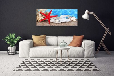 Canvas Wall art Starfish shells nature red white