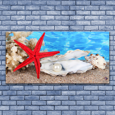 Canvas Wall art Starfish shells nature red white