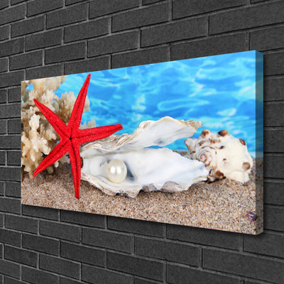 Canvas Wall art Starfish shells nature red white