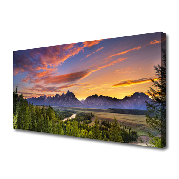 Canvas Wall art Mountain forest nature grey green