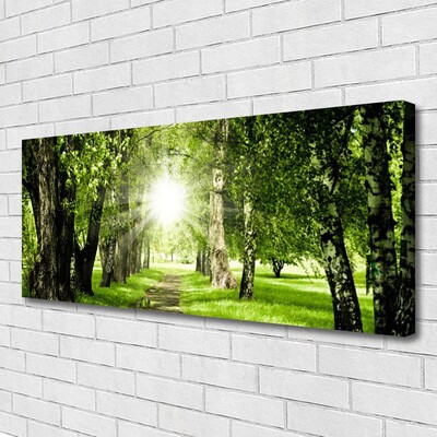 Canvas Wall art Forest sun footpath nature brown green yellow