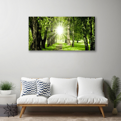 Canvas Wall art Forest sun footpath nature brown green yellow
