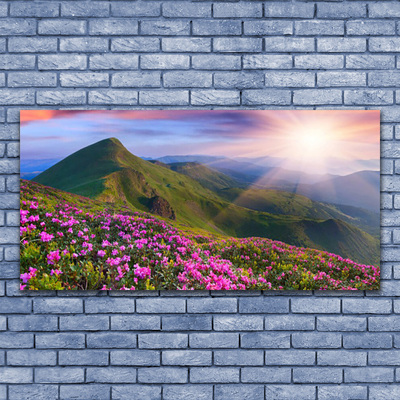 Canvas Wall art Mountains meadow flowers landscape blue green pink