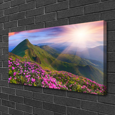 Canvas Wall art Mountains meadow flowers landscape blue green pink