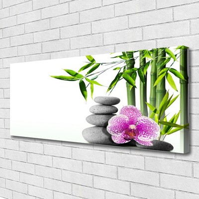 Canvas Wall art Bamboo cane flower stones floral green pink grey