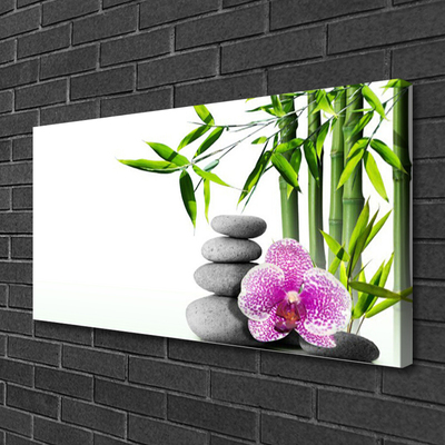 Canvas Wall art Bamboo cane flower stones floral green pink grey