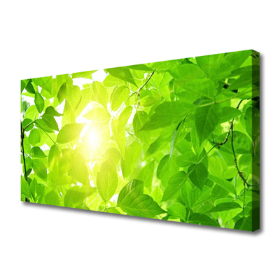 Canvas Wall art Leaves floral green