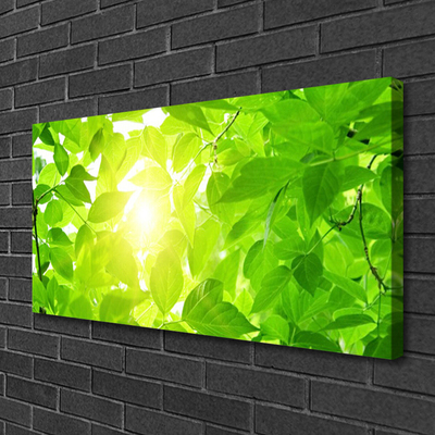 Canvas Wall art Leaves floral green