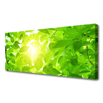 Canvas Wall art Leaves floral green