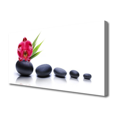 Canvas Wall art Flower stones art red grey