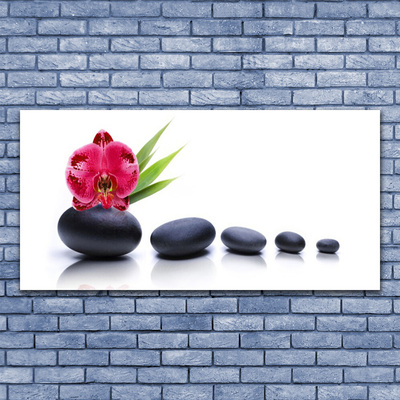 Canvas Wall art Flower stones art red grey