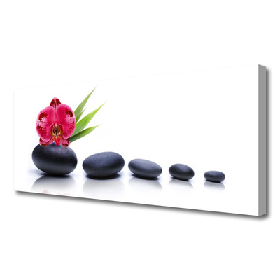 Canvas Wall art Flower stones art red grey