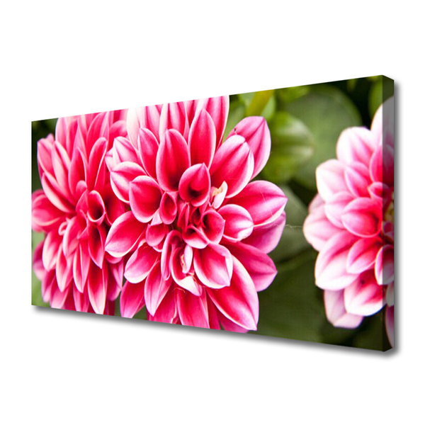 Canvas Wall art Flowers floral red white