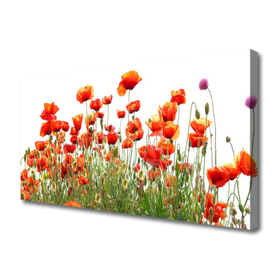 Canvas Wall art Poppies nature red