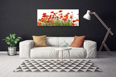 Canvas Wall art Poppies nature red