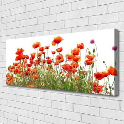 Canvas Wall art Poppies nature red