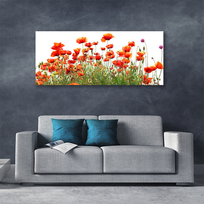 Canvas Wall art Poppies nature red