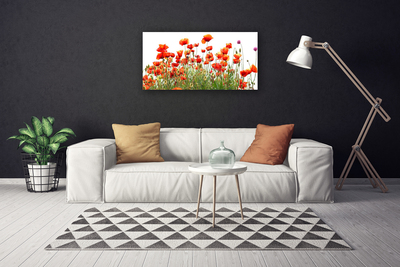 Canvas Wall art Poppies nature red